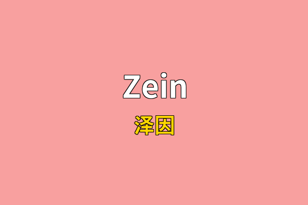 Zein英文名