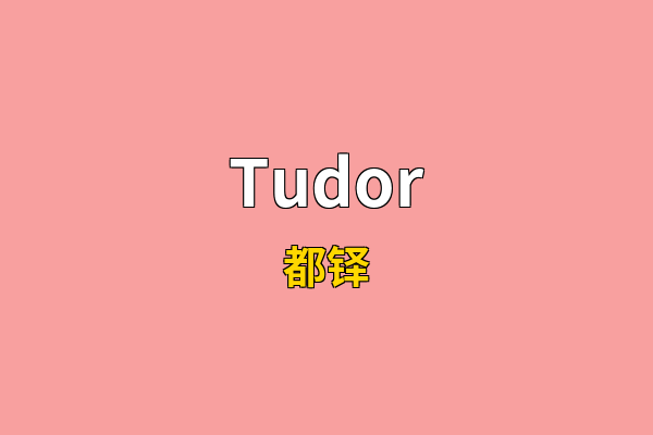 Tudor英文名