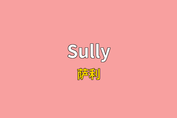 Sully英文名