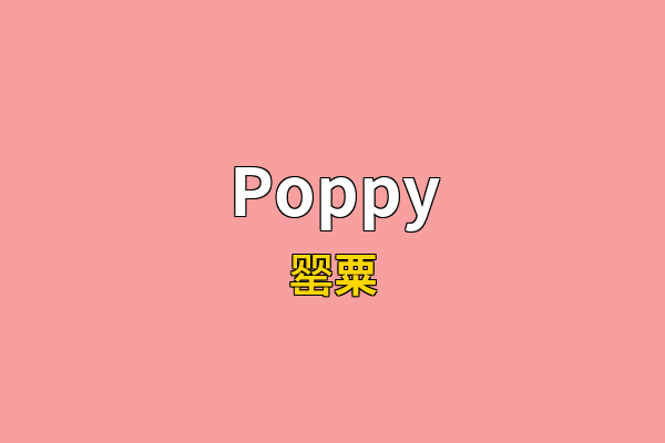 Poppy英文名