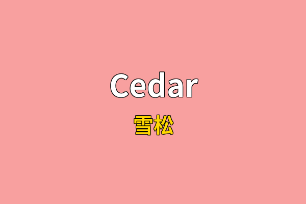 Cedar英文名