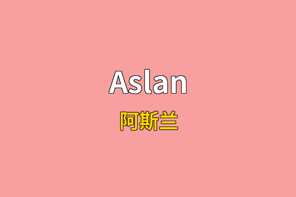 Aslan英文名