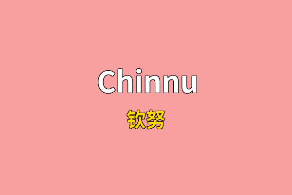 Chinnu英文名