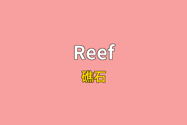 Reef英文名