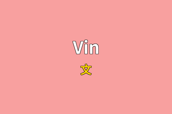 Vin英文名