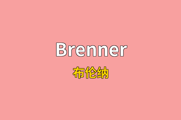 Brenner英文名