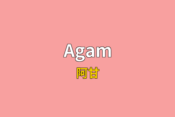Agam英文名