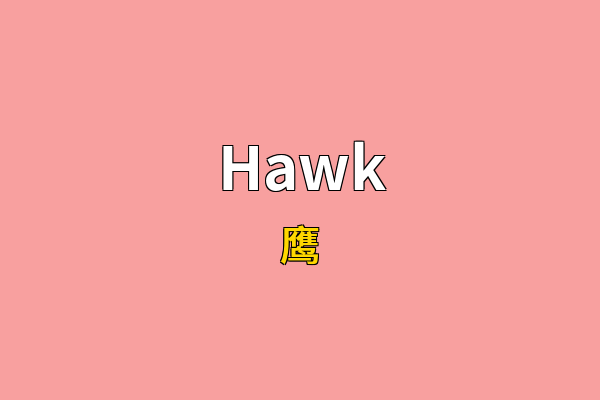 Hawk英文名