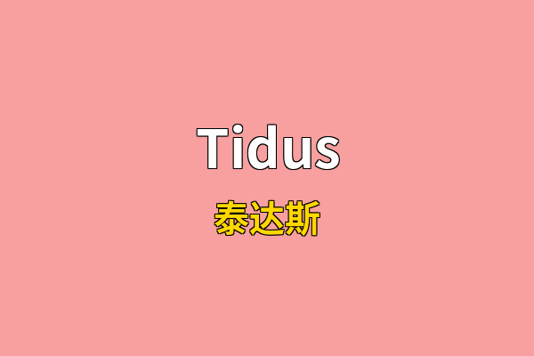 Tidus英文名