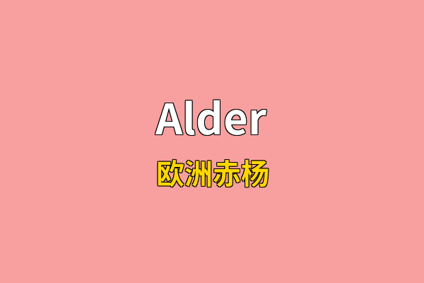 Alder英文名