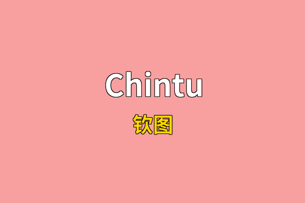 Chintu英文名