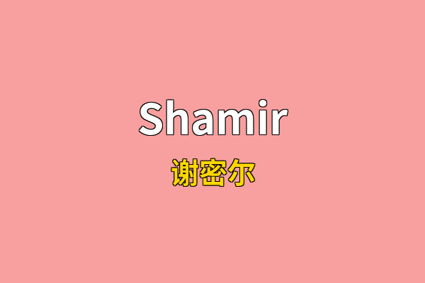 Shamir英文名