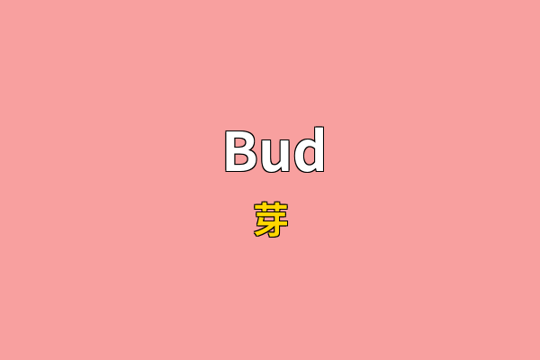 Bud英文名