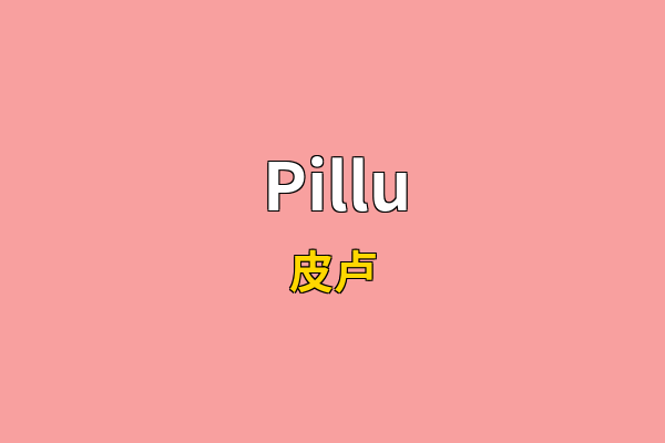 Pillu英文名