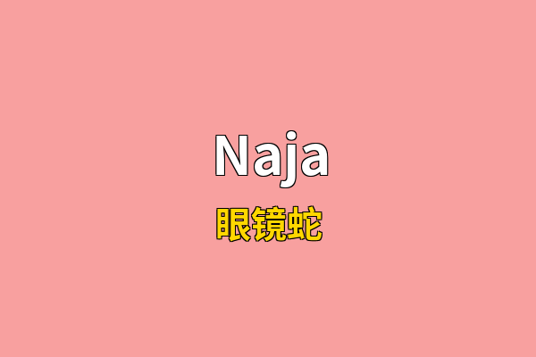 Naja英文名