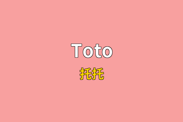 Toto英文名