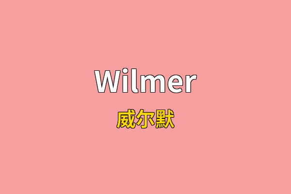 Wilmer英文名