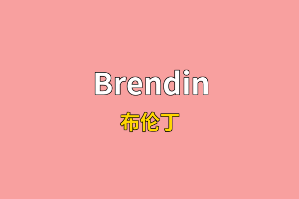 Brendin英文名