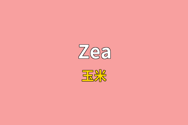 Zea英文名