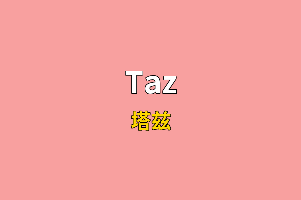 Taz英文名