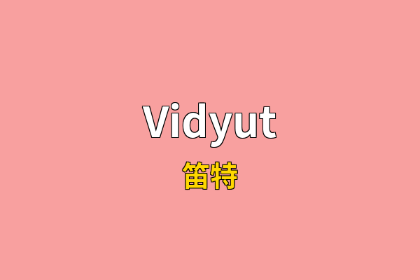 Vidyut英文名