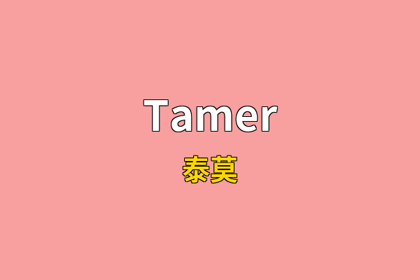 Tamer英文名