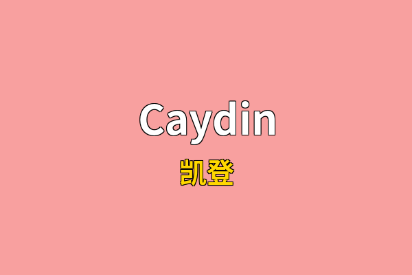 Caydin英文名
