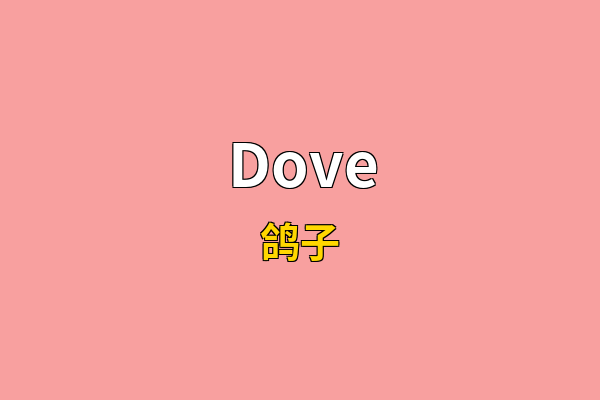 Dove英文名