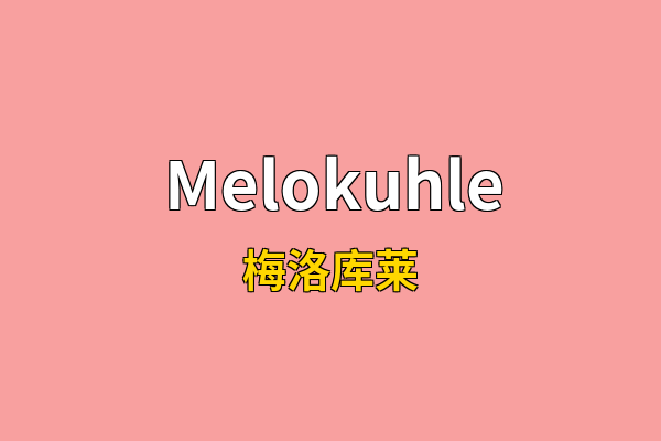 Melokuhle英文名