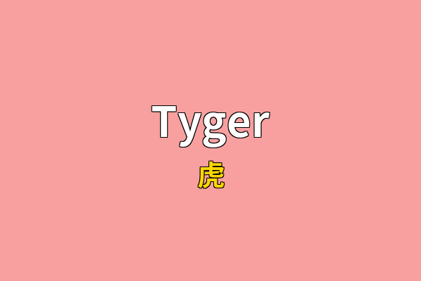 Tyger英文名