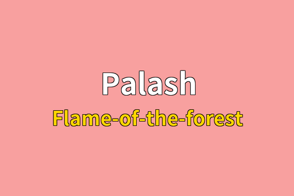 Palash英文名