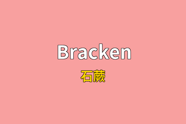 Bracken英文名