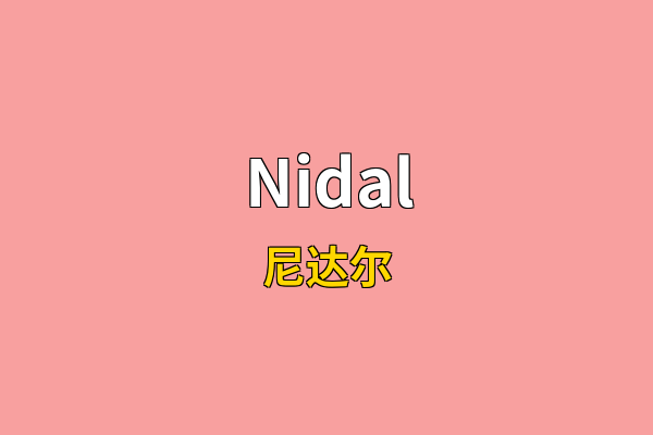 Nidal英文名