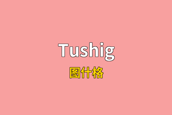 Tushig英文名