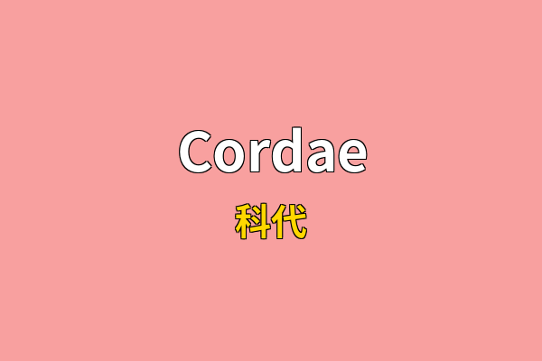 Cordae英文名