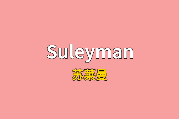 Suleyman英文名
