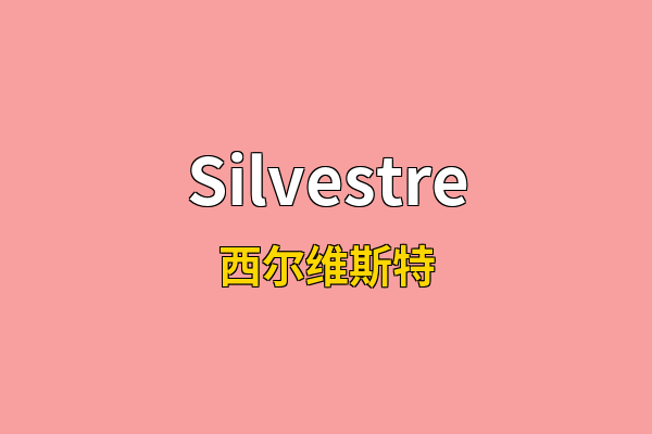 Silvestre英文名