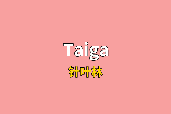 Taiga英文名