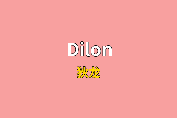 Dilon英文名