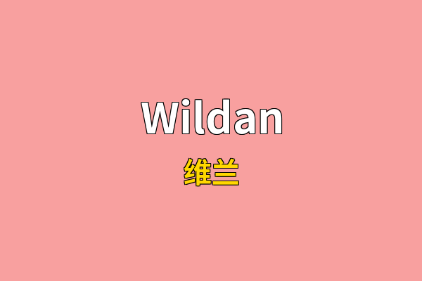 Wildan英文名