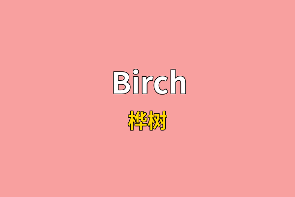 Birch英文名