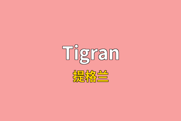 Tigran英文名