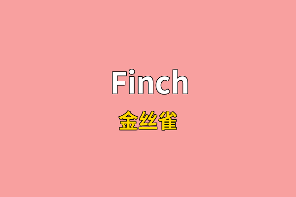 Finch英文名