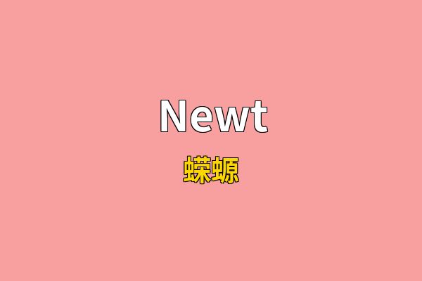 Newt英文名