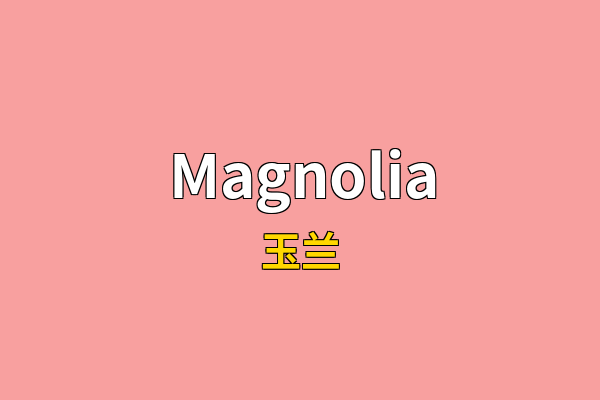 Magnolia英文名