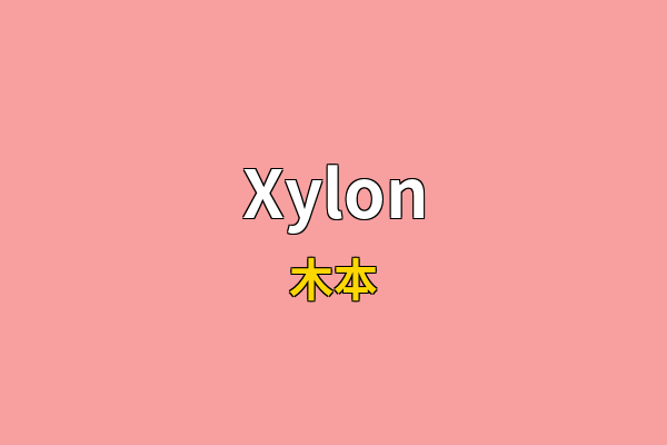 Xylon英文名