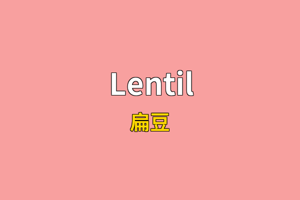 Lentil英文名