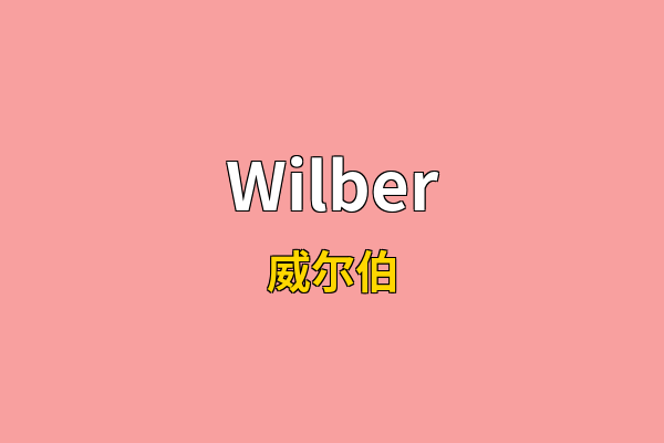 Wilber英文名