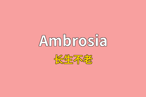 Ambrosia英文名