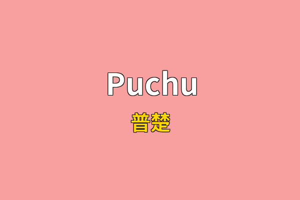 Puchu英文名